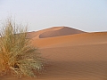 messak_01
